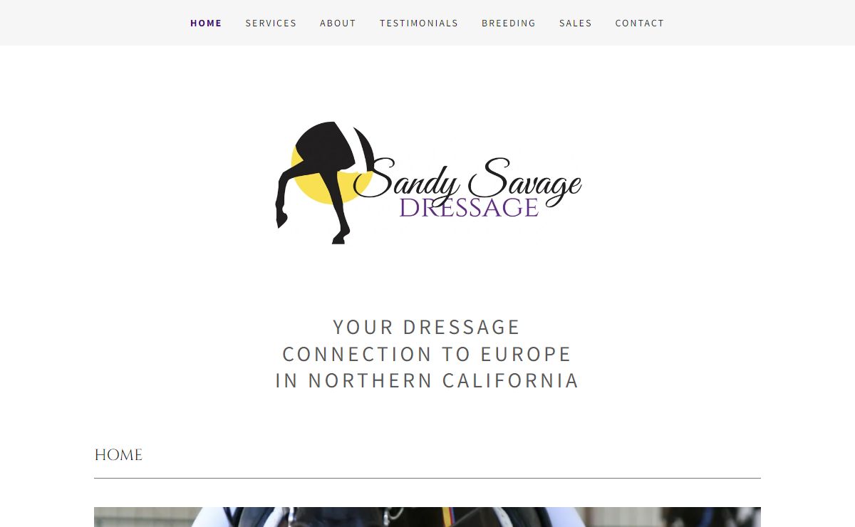 Sandy Savage Dressage - Dressage Training, Dressage Horses for Sale