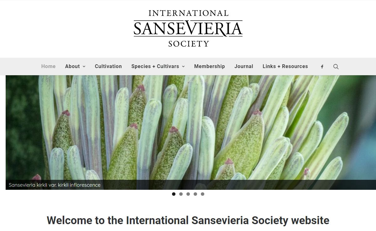 International Sansevieria Society