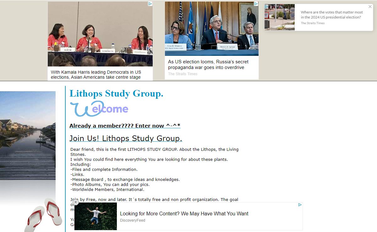 Lithops Study Group.