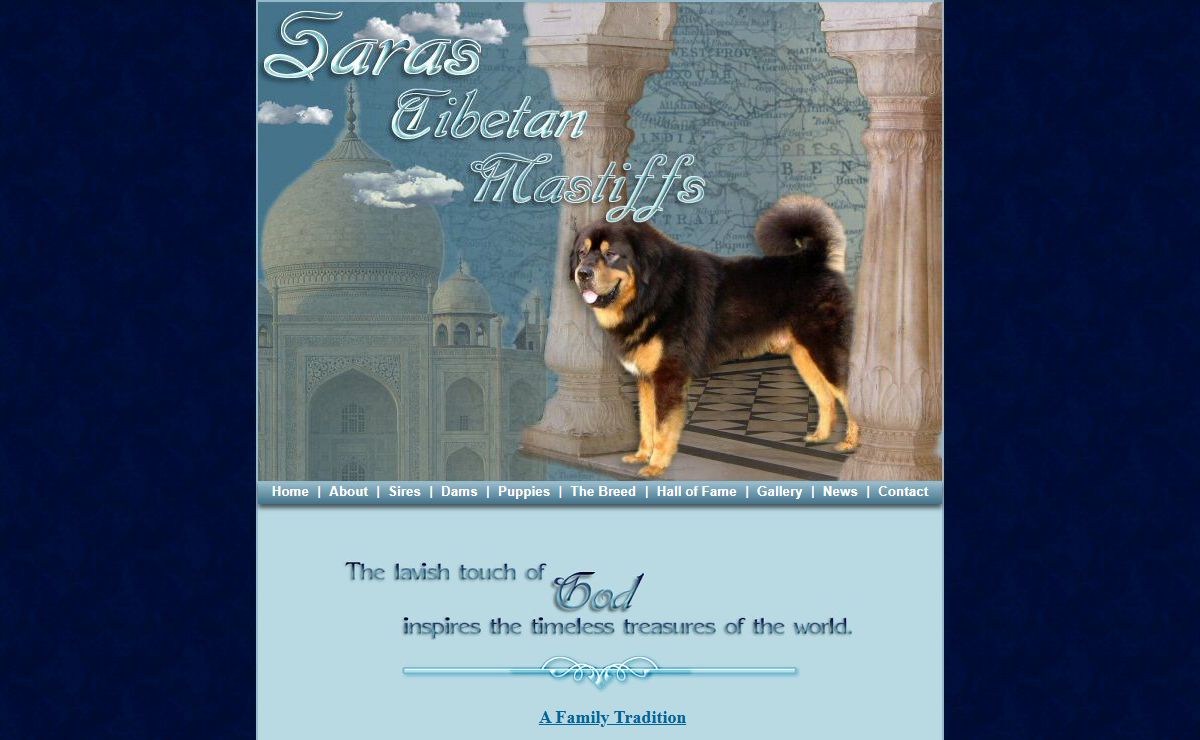 Saras Tibetan Mastiffs