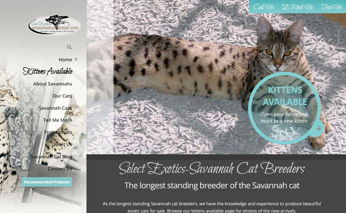 Savannah Cat Breeders and Exotic Cats For Sale | Savannah Cat Breed