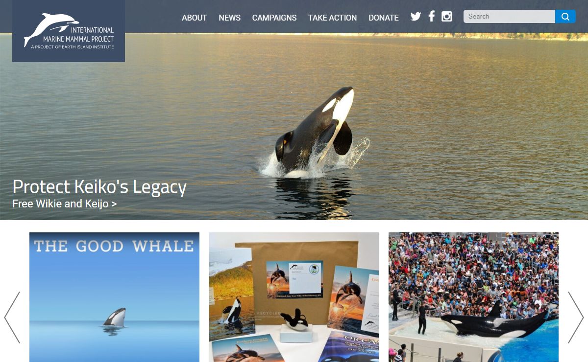 Homepage - International Marine Mammal Project