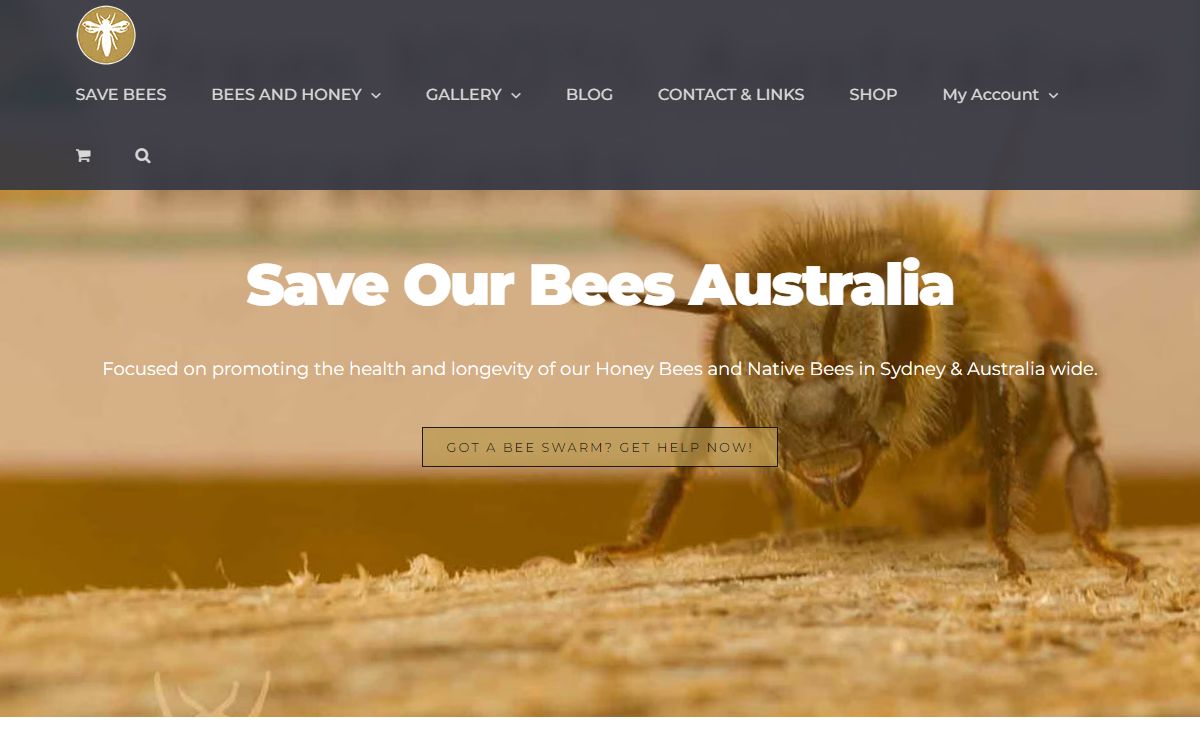 Save Our Bees Australia | Raising Awareness of Bees