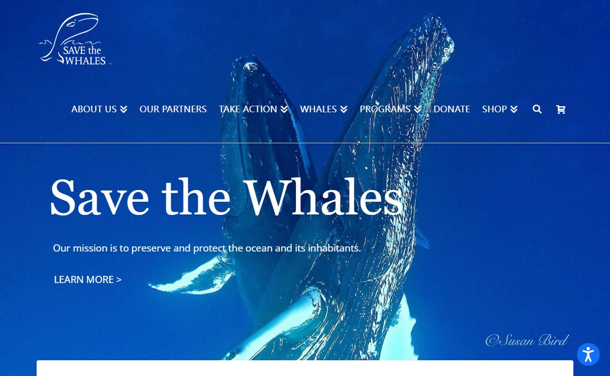 Home - Save The Whales