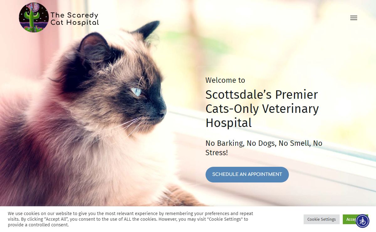Cat Clinic In Scottsdale, AZ | Cat Veterinarian | The Scaredy Cat