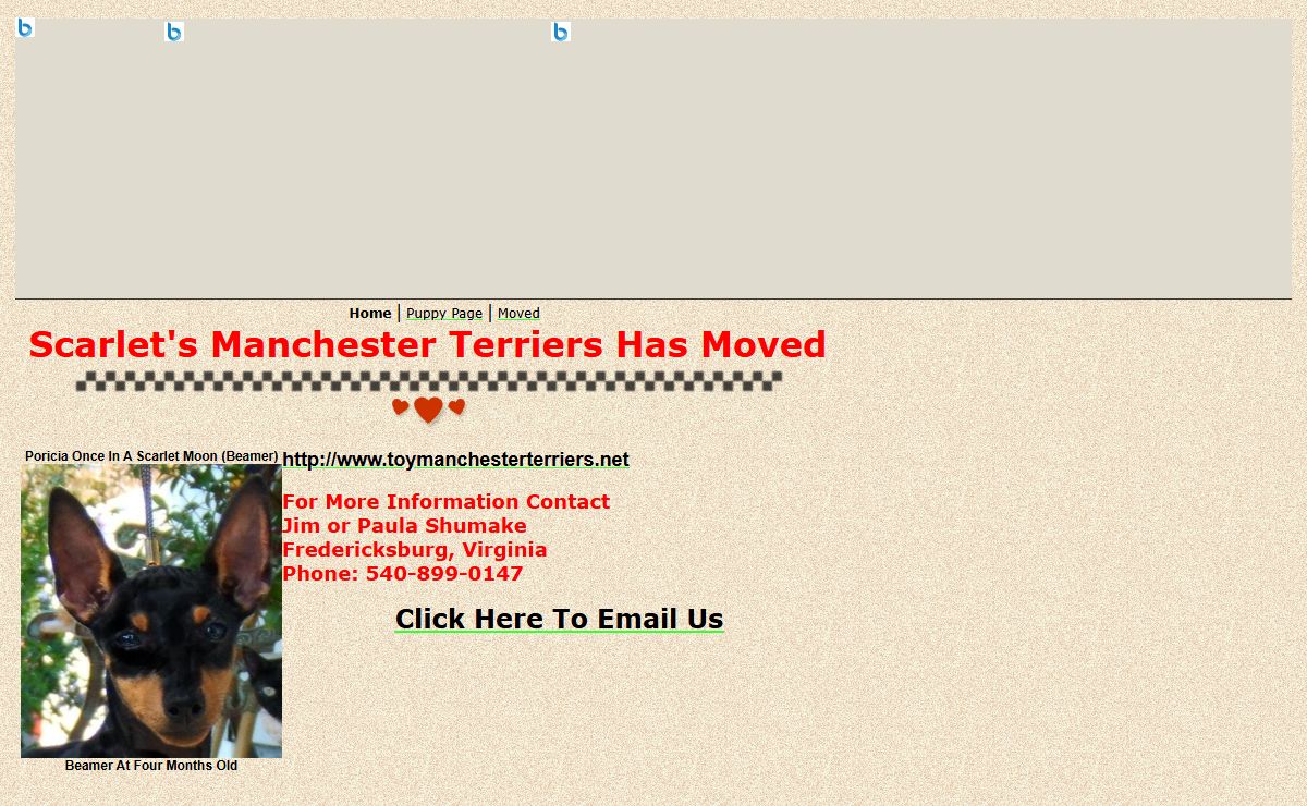 Scarlet's Manchester Terriers Has Moved