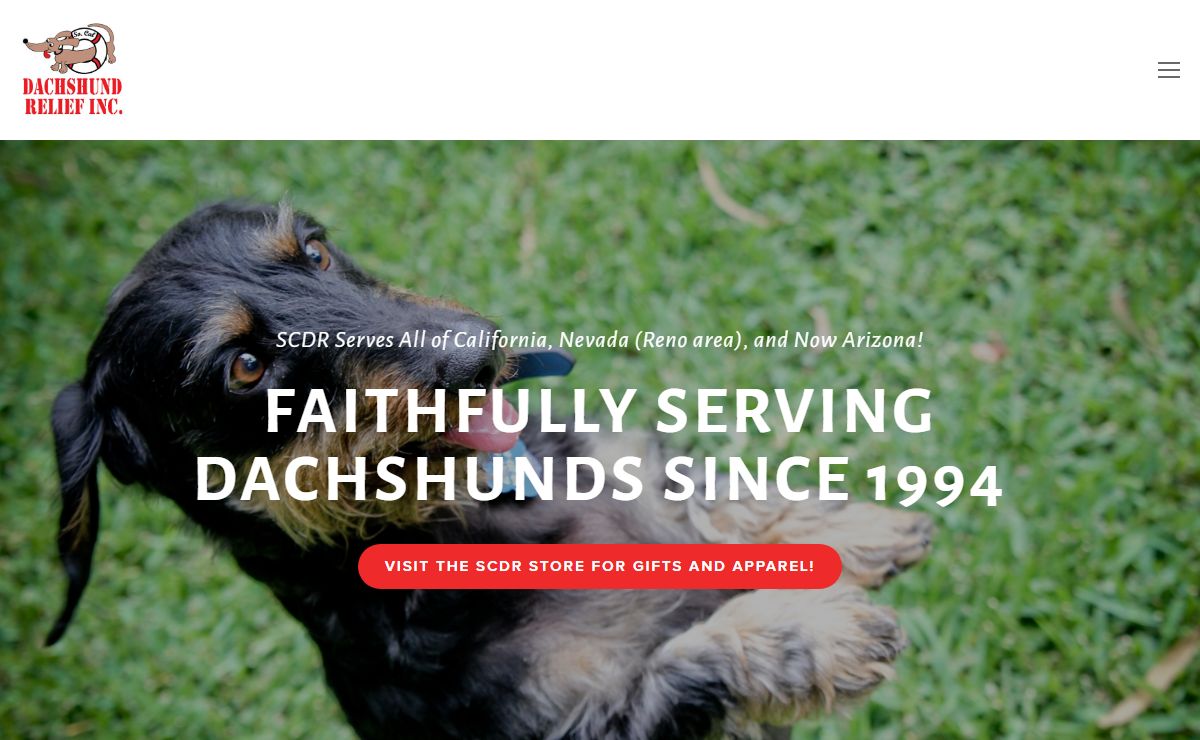 Southern California Dachshund Relief Inc. Dachshund Rescue California