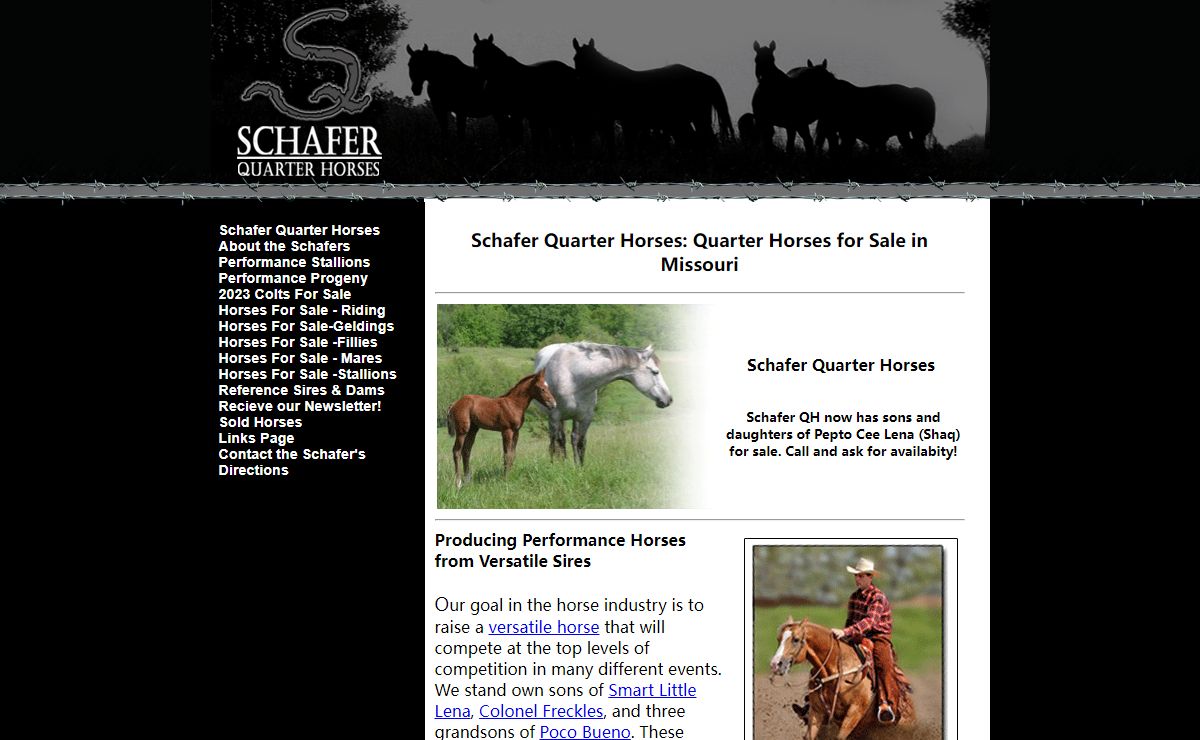 Schafer Quarter Horses