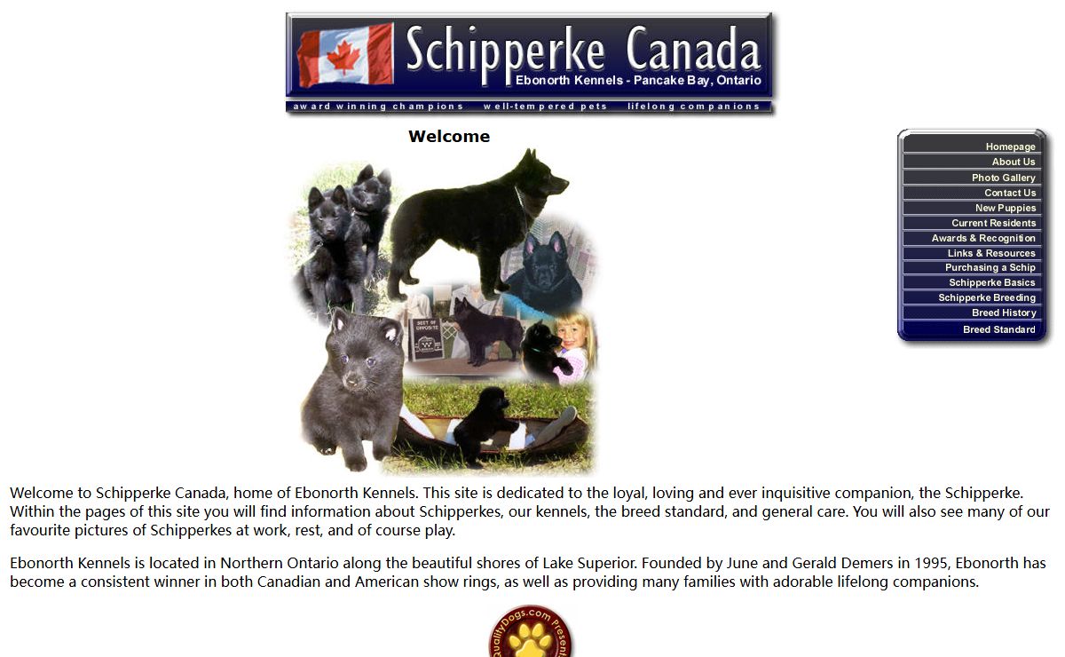 Welcome to Schipperke Canada - Ebornorth Registered Kennels