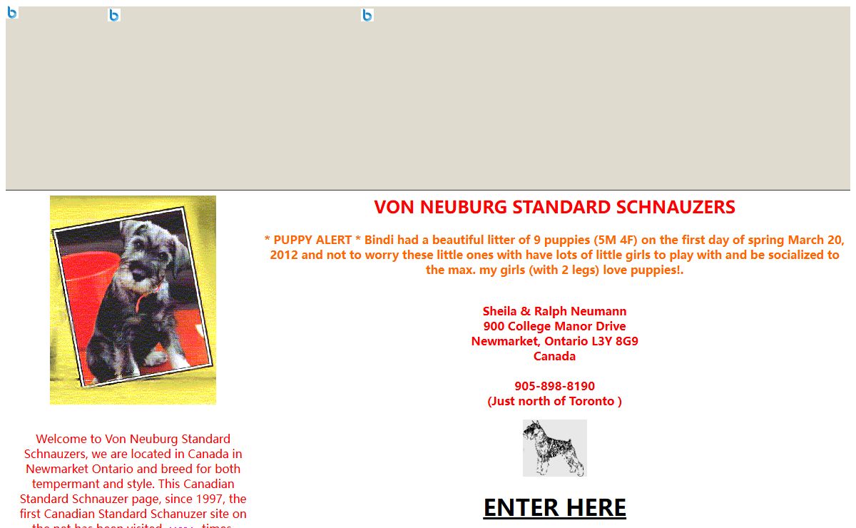 Standard Schnauzers - Von Neuburg