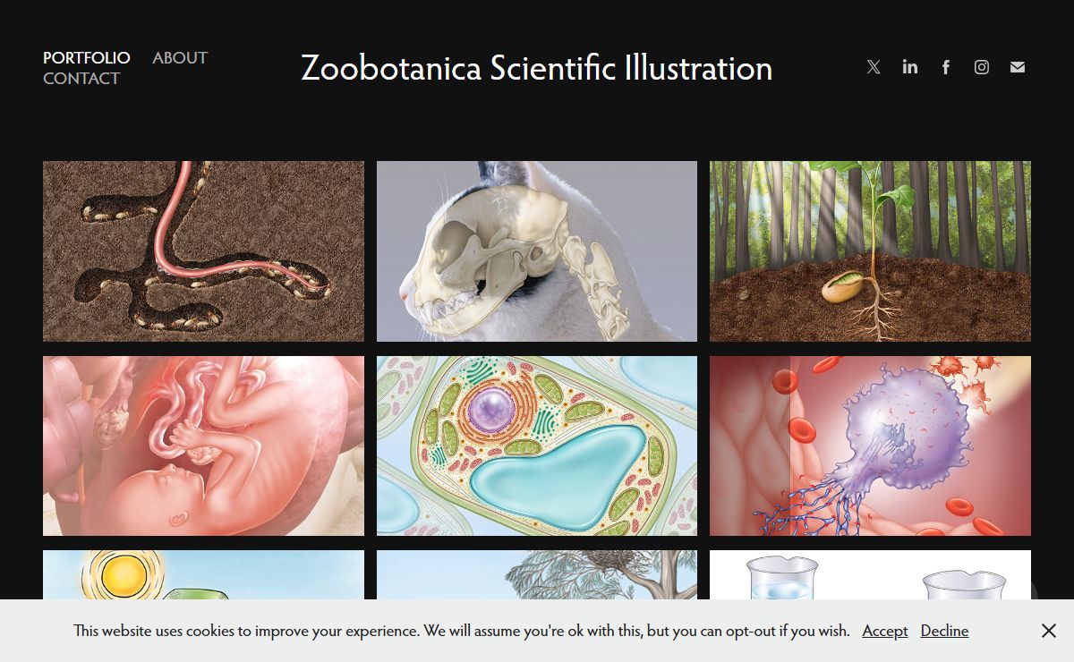 Zoobotanica Scientific Illustration