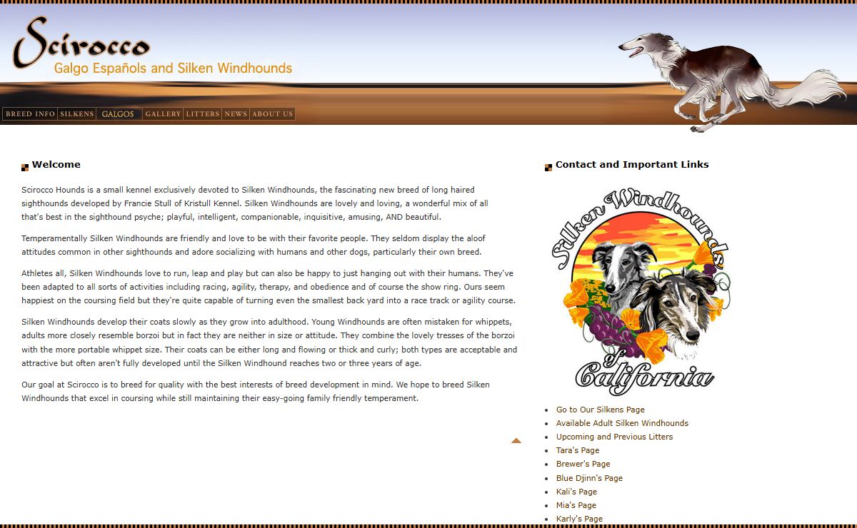Scirocco Hounds Kennel is located in Northern, Nevada - Our breeds are Galgo Españols and Silken Windhounds
