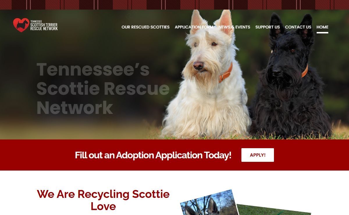 Tennessee Scottish Terrier Rescue Network | Recycling Scottie Love