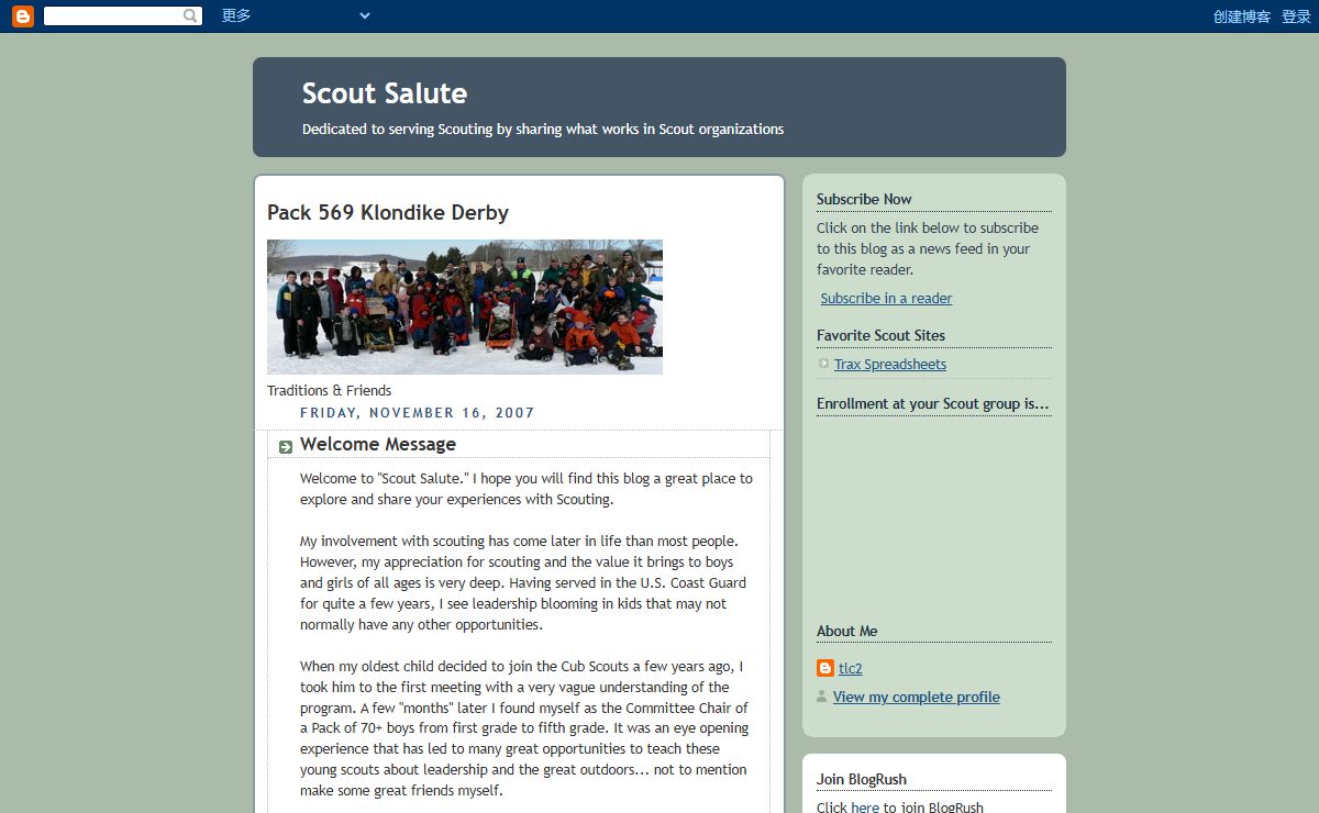 Scout Salute