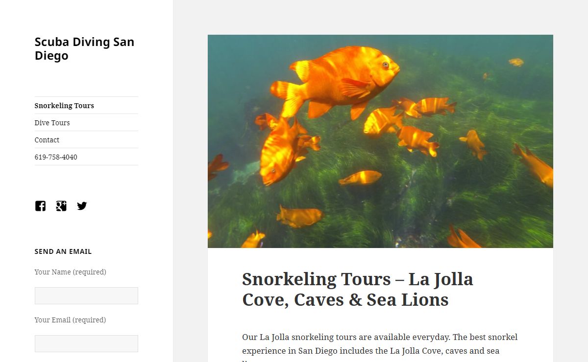 La Jolla Snorkeling Tours - Cove, Caves & Sharks