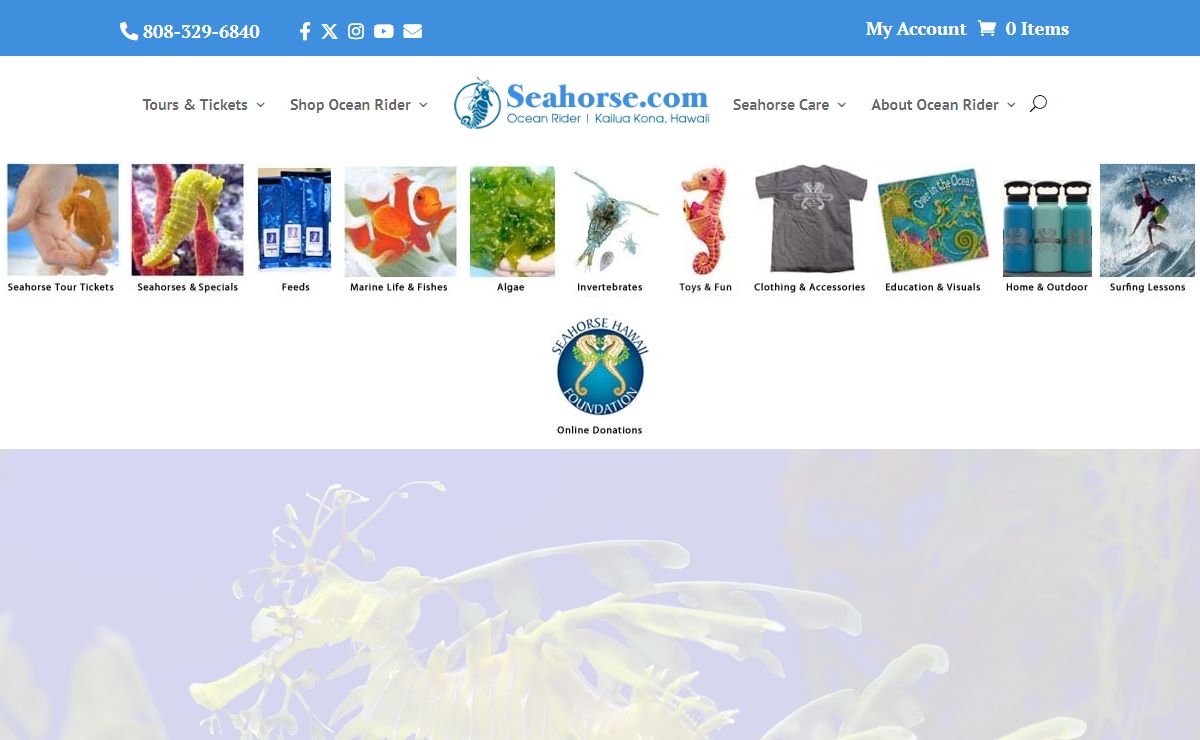 Seahorse Farms & Tours | Things to Do Kona Hawaii | Ocean Rider