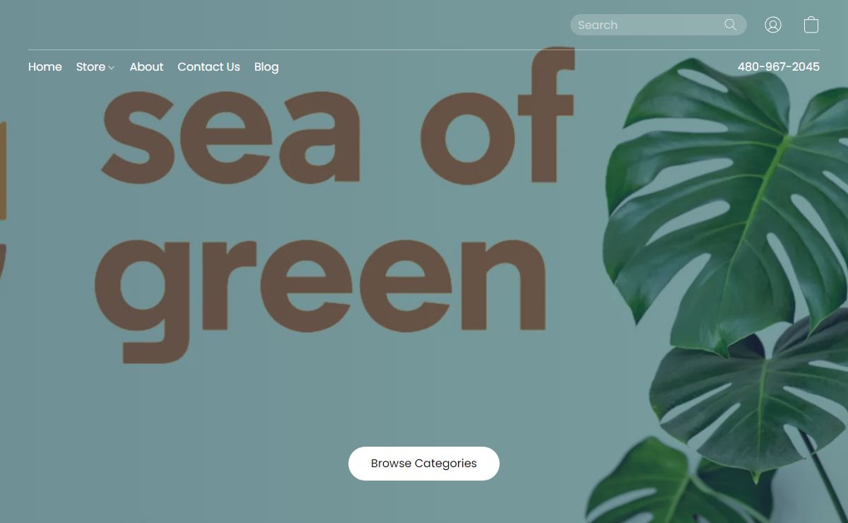 Sea of Green Hydrogardens Contact