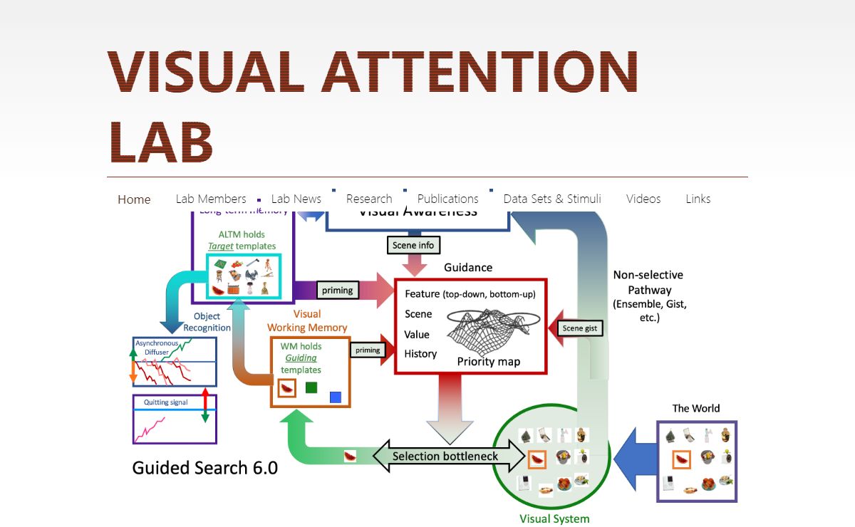Visual Attention Lab