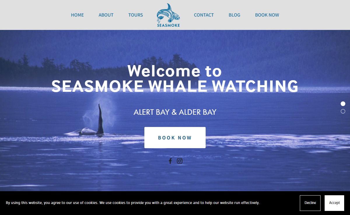 Whale watching Vancouver Island