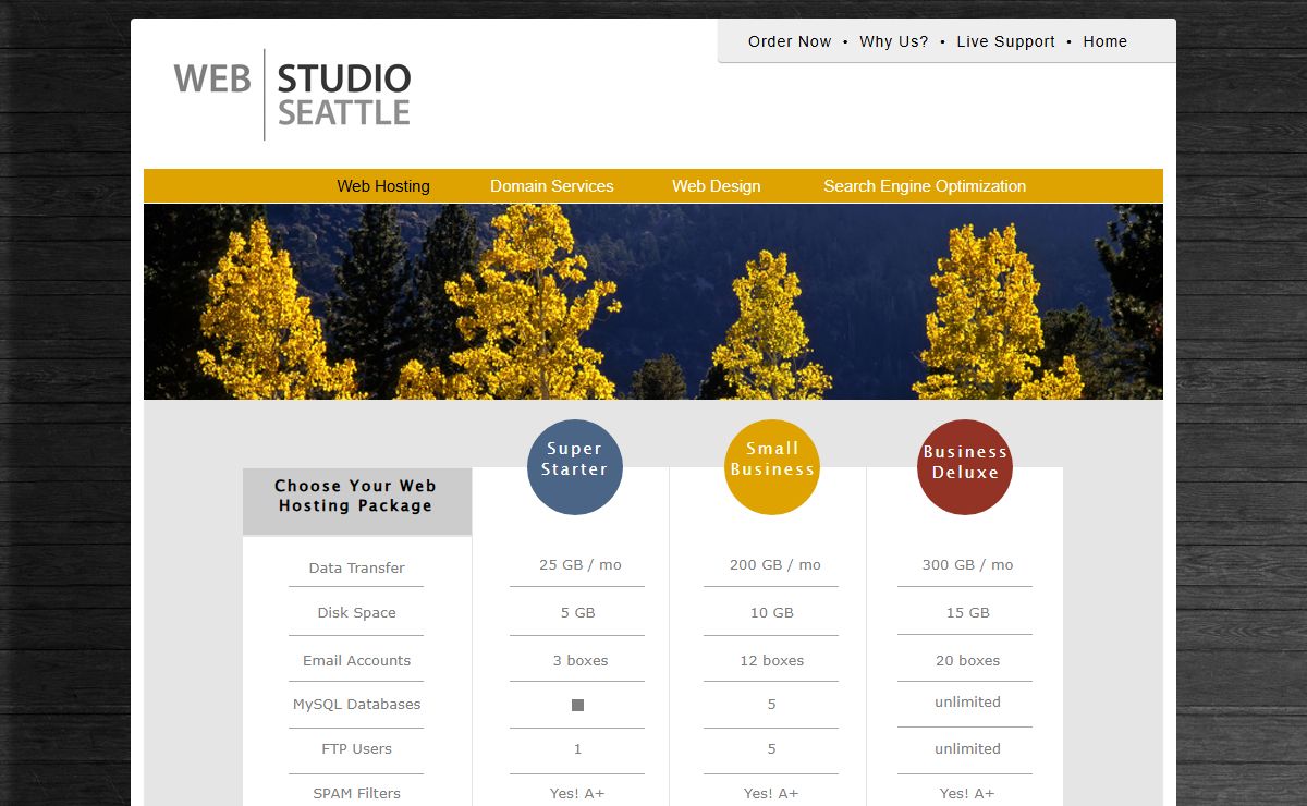 SeattleWebHost.com | Web Hosting, Domain Names, Web Design | In Seattle Since 1998