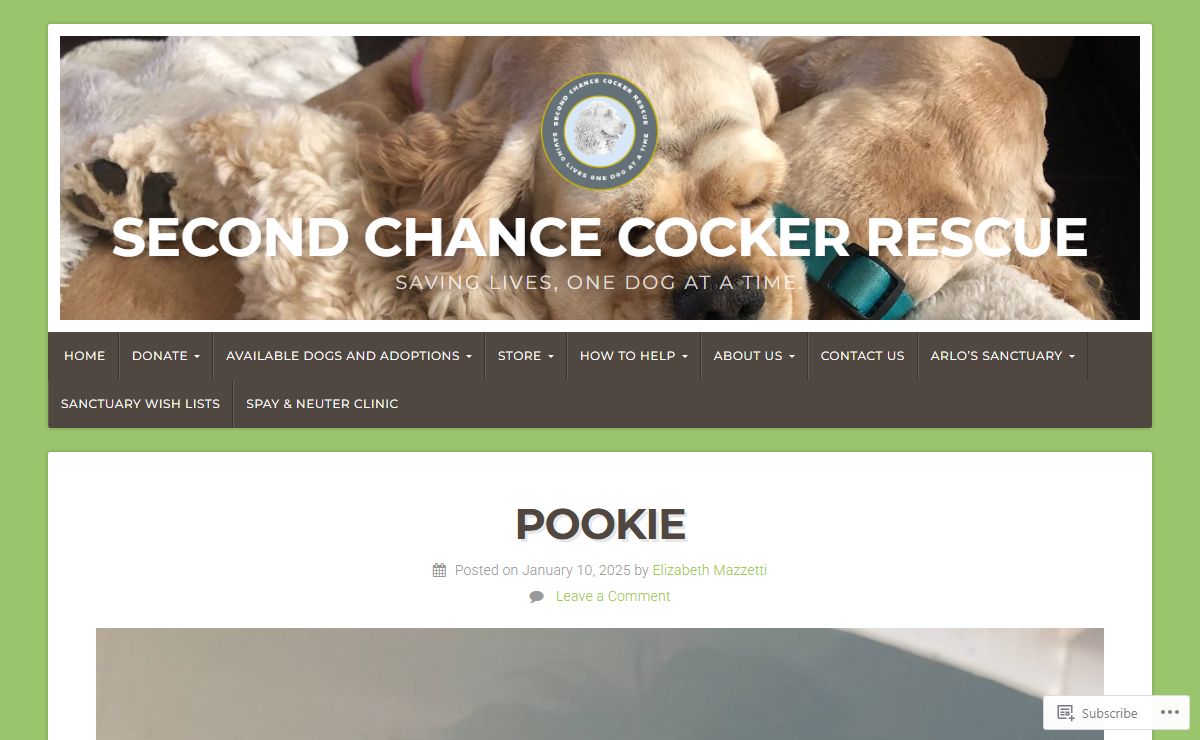 SECOND CHANCE COCKER RESCUE – Saving lives, one dog at a time.