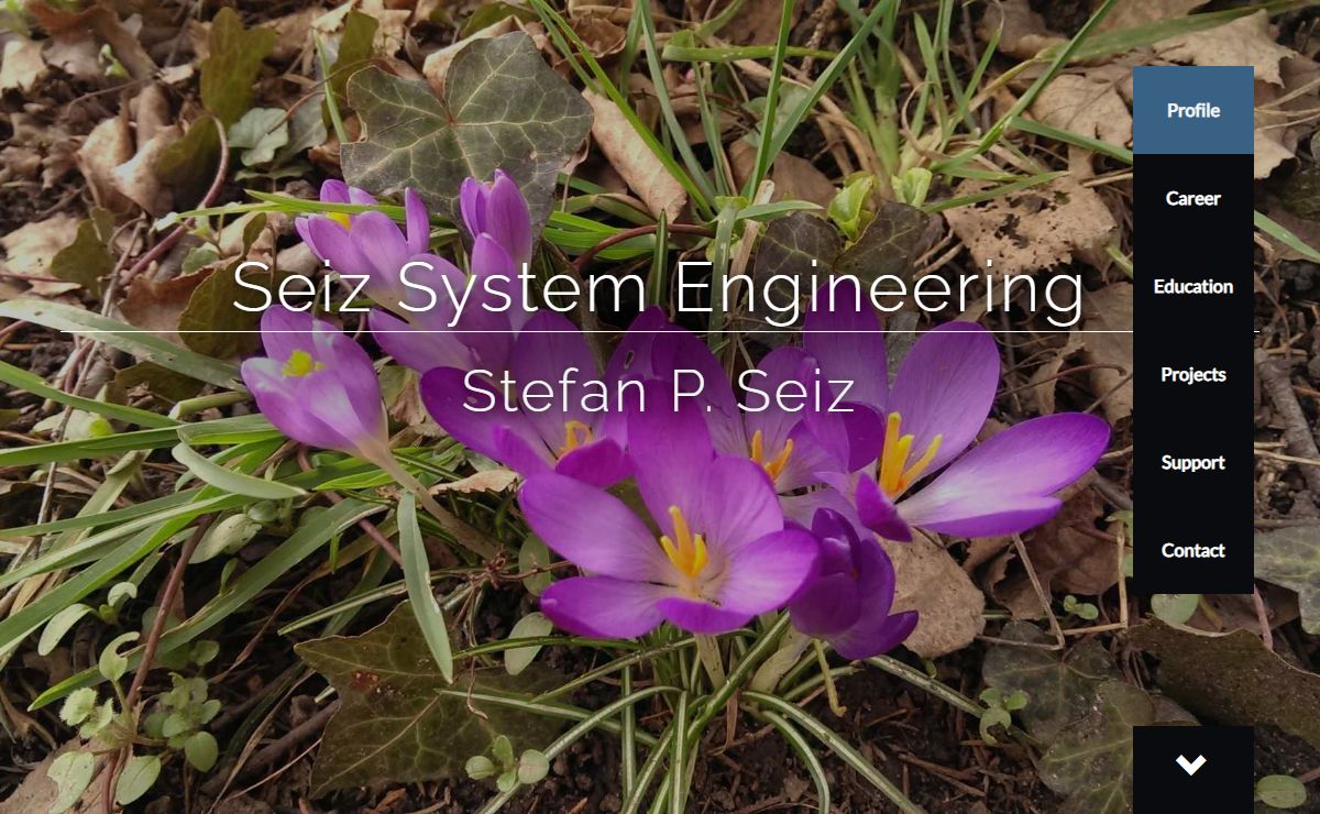 Seiz System Engineering - Seiz System Engineering