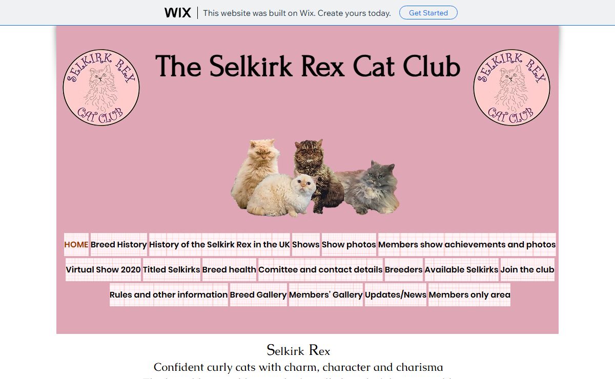 Selkirk Rex Cat Club