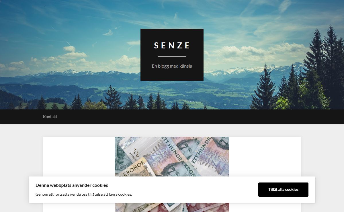 S E N Z E – En blogg med känsla