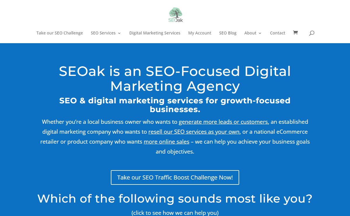 SEO-Focused Digital Marketing Agency based in NOLA - SEOak
