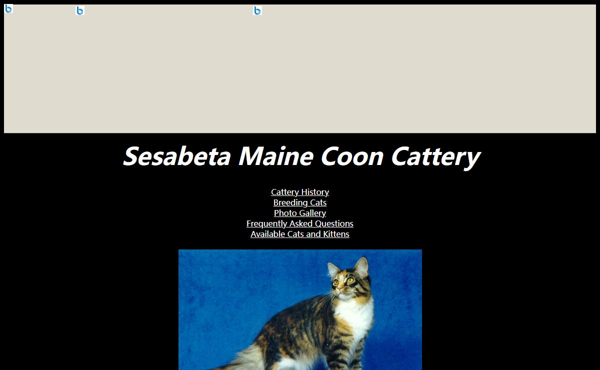 Sesabeta Maine Coon Cattery