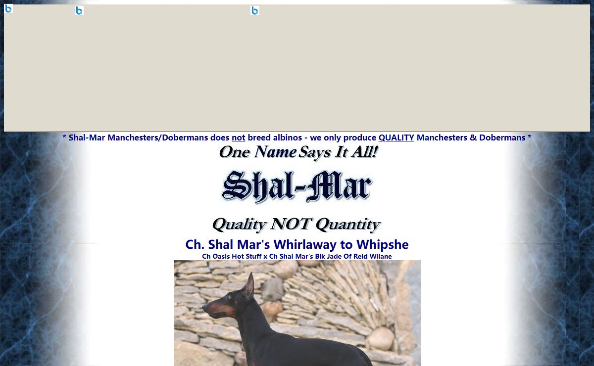 Shalmar Manchester Terriers