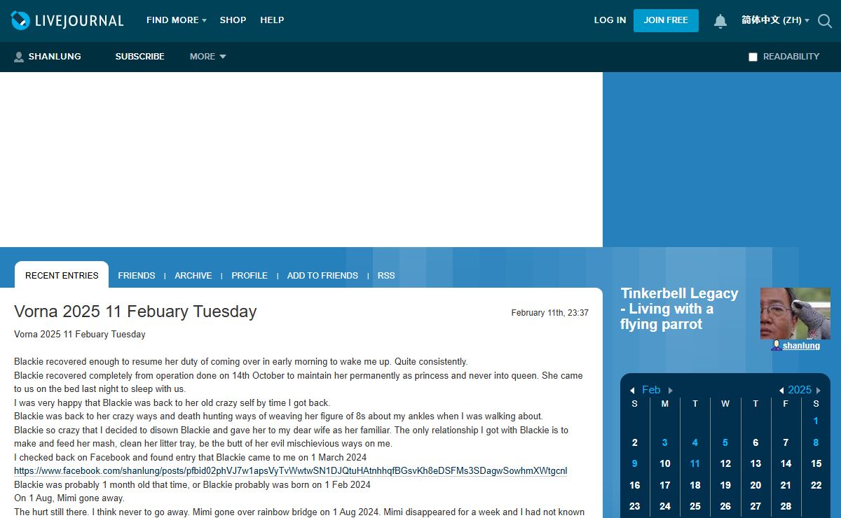 Tinkerbell Legacy - Living with a flying parrot — LiveJournal