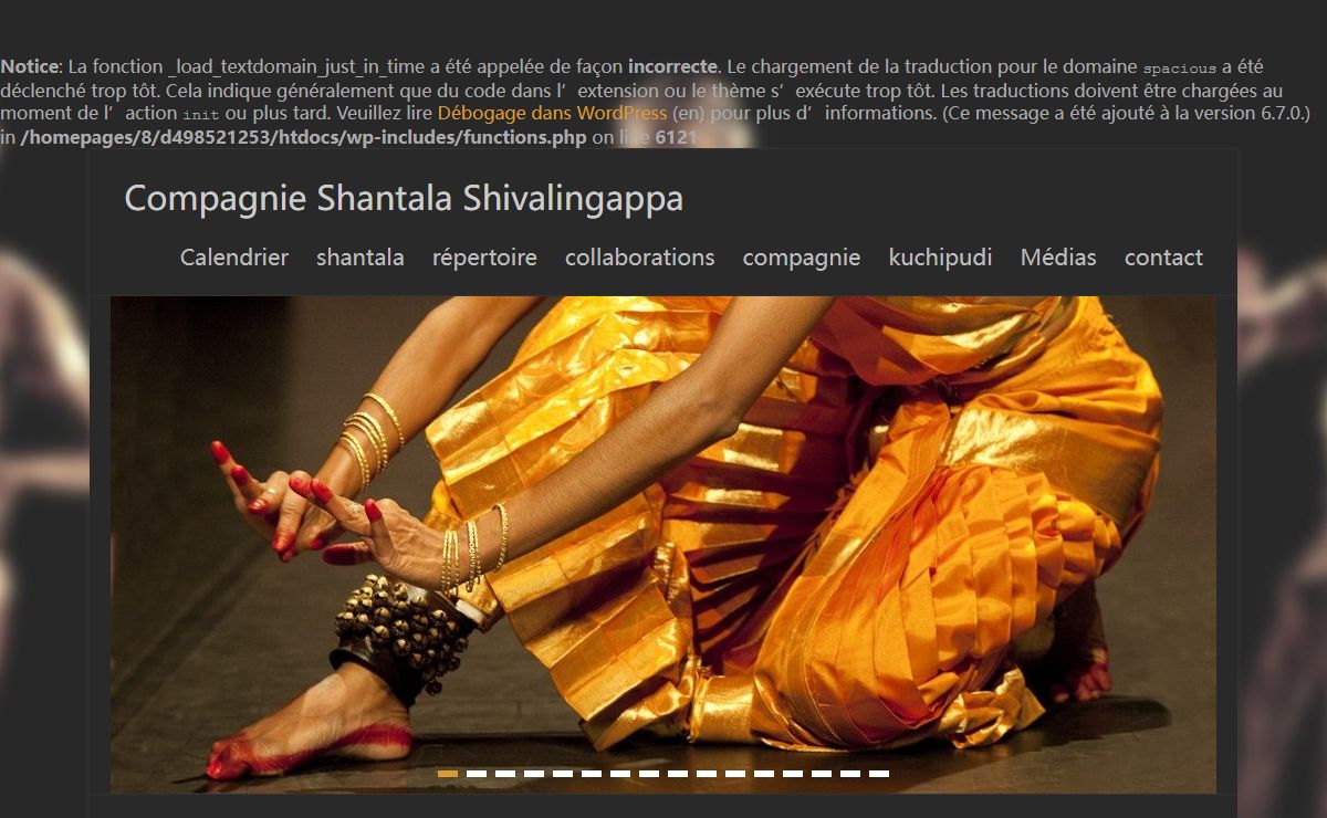 Compagnie Shantala Shivalingappa