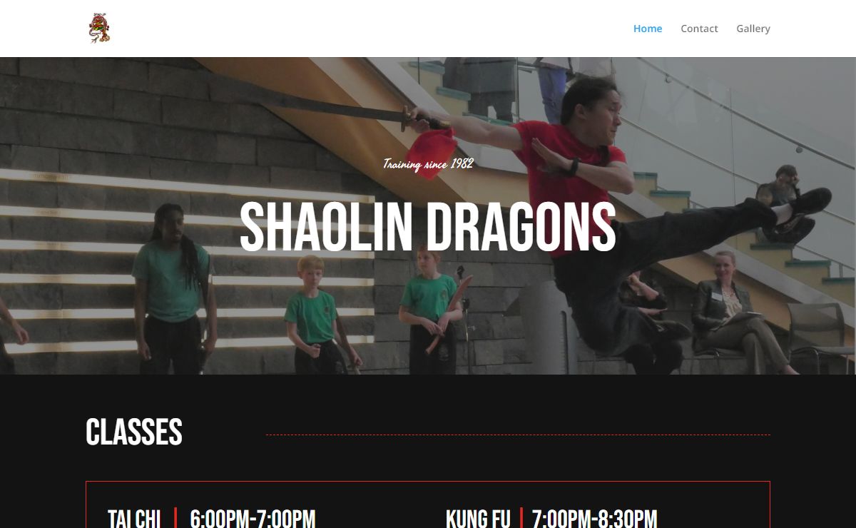 Shaolin Dragons | Martial arts school in Roanoke Virginia