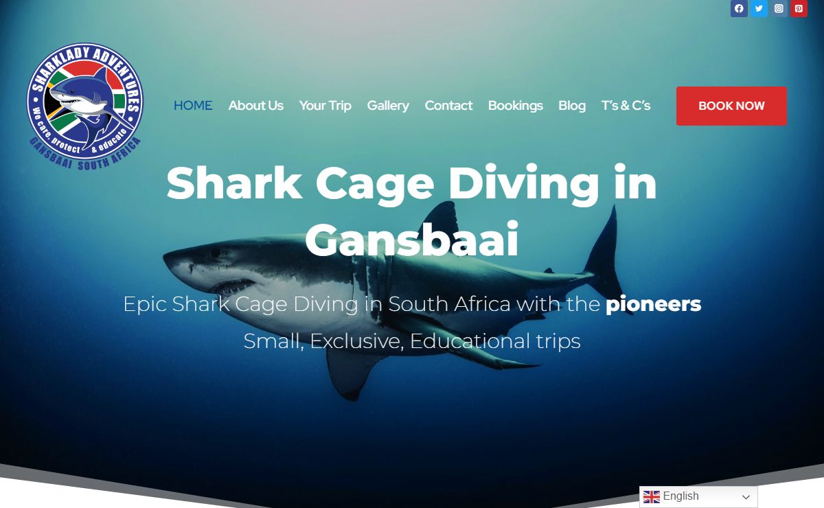 Shark Cage Diving In Gansbaai | Thrilling Experience