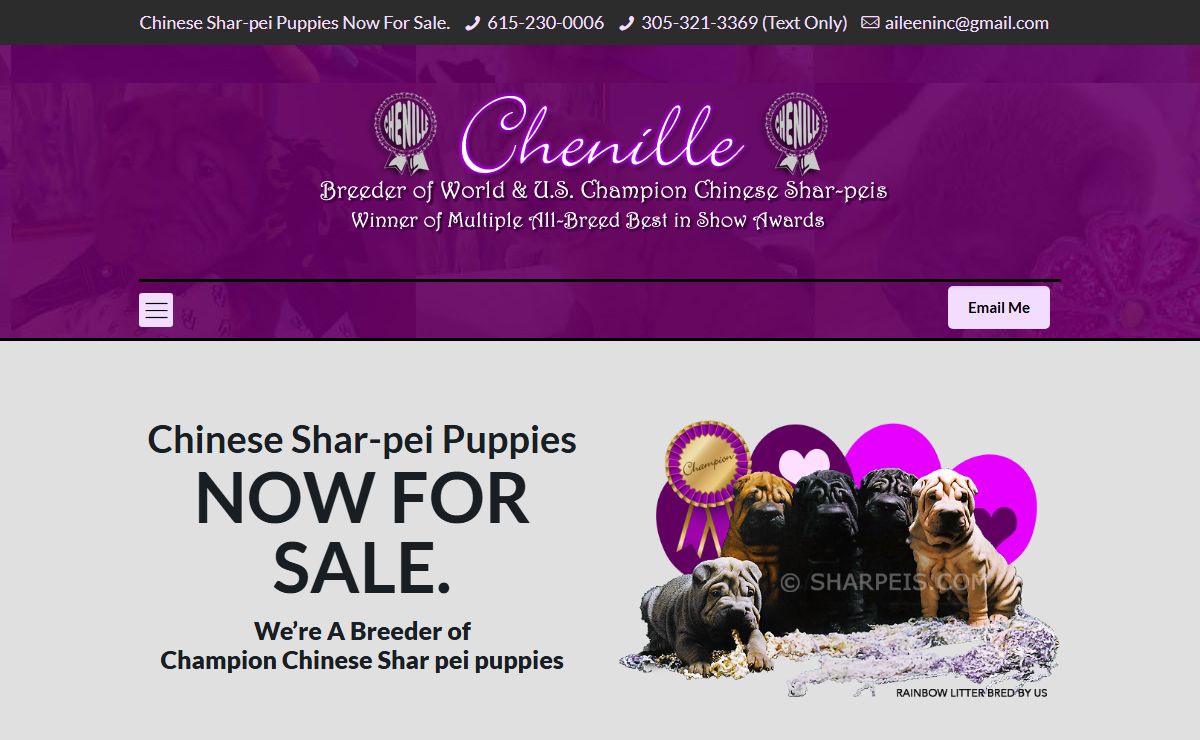 Chinese Shar Pei puppies for sale, Breeder of Chinese Shar-Pei puppies for sale, Shar Pei puppies available for sale – Chenille Chinese Shar Pei dogs for sale