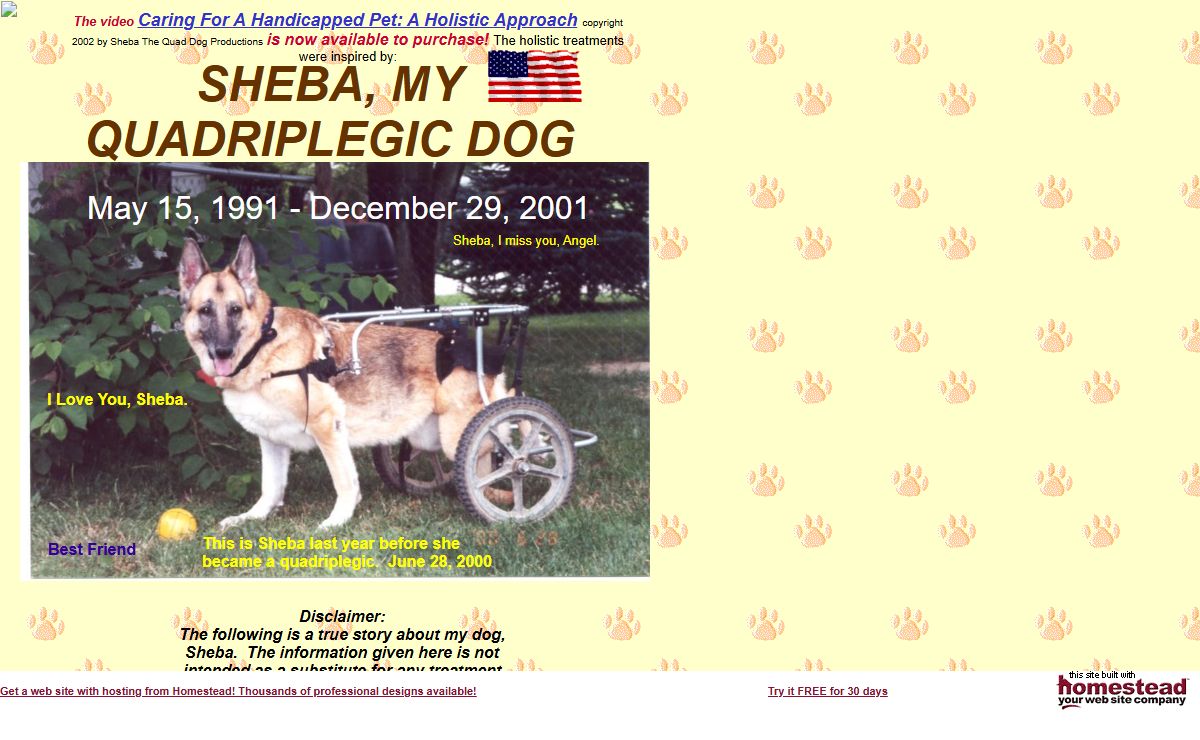 ShebaTheQuadDog