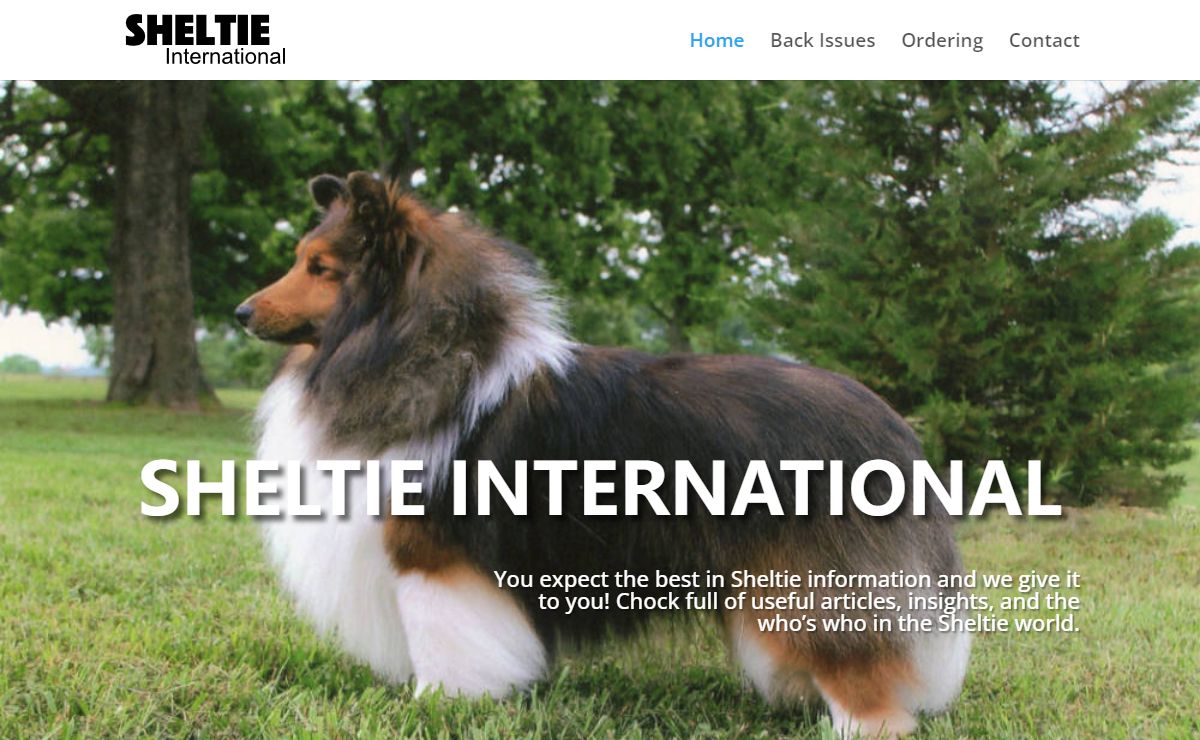 Sheltie | Sheltie Magazine