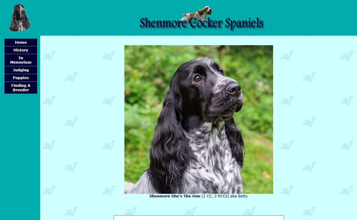 Shenmore Cocker Spaniels, Gloucestershire, UK