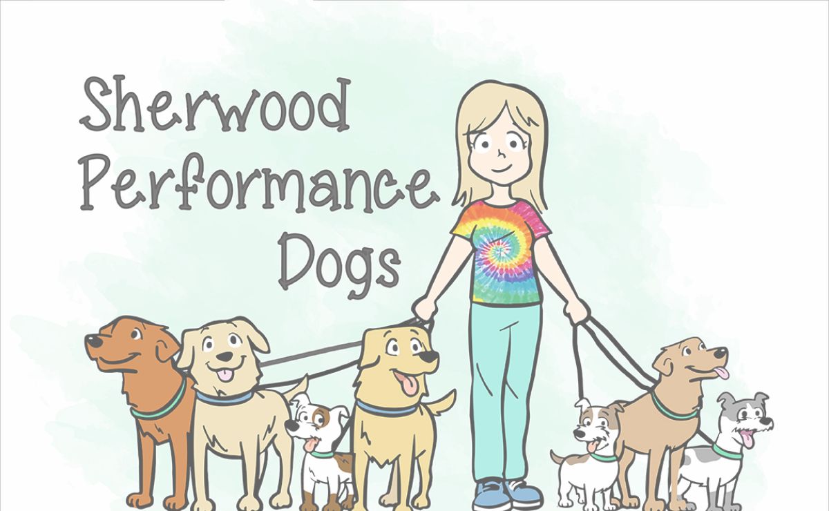 Sherwood Performance Dogs, Golden Retrievers and Russell Terriers | Dog Training | Idaho