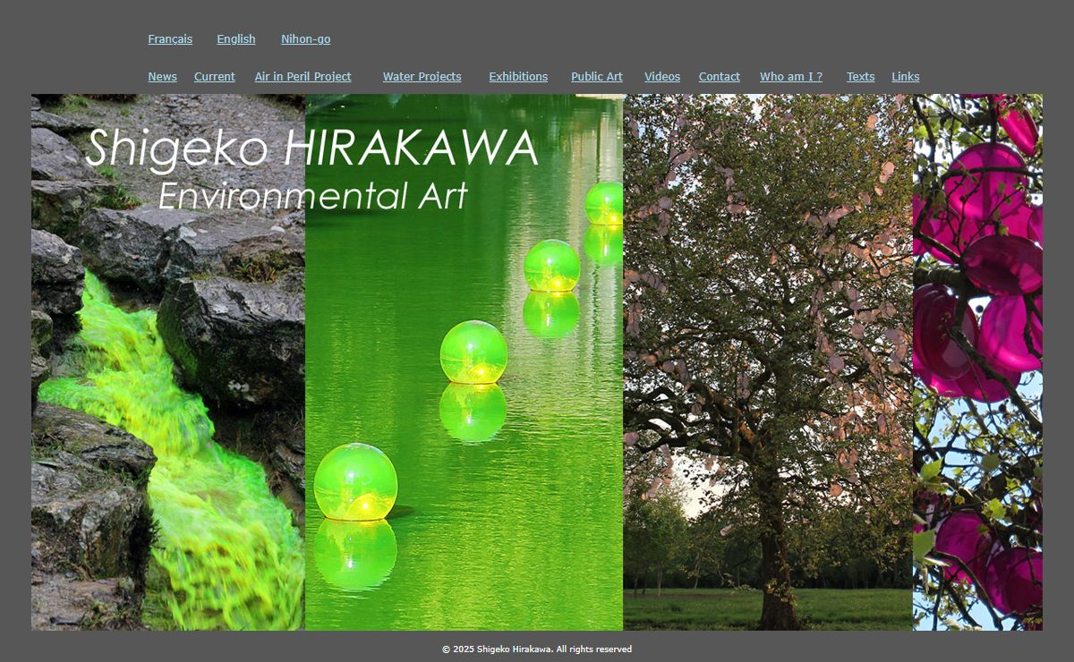 Shigeko Hirakawa's contemporary art site
