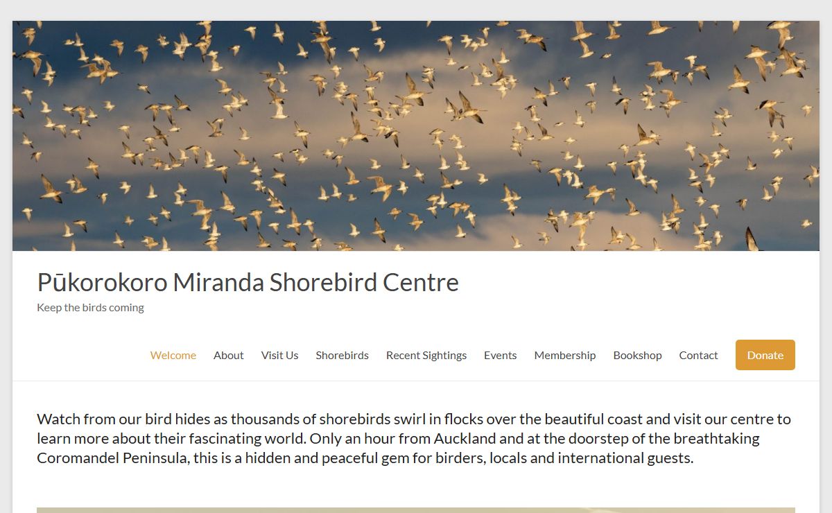 Welcome to the Shorebird Centre - Pūkorokoro Miranda Shorebird Centre