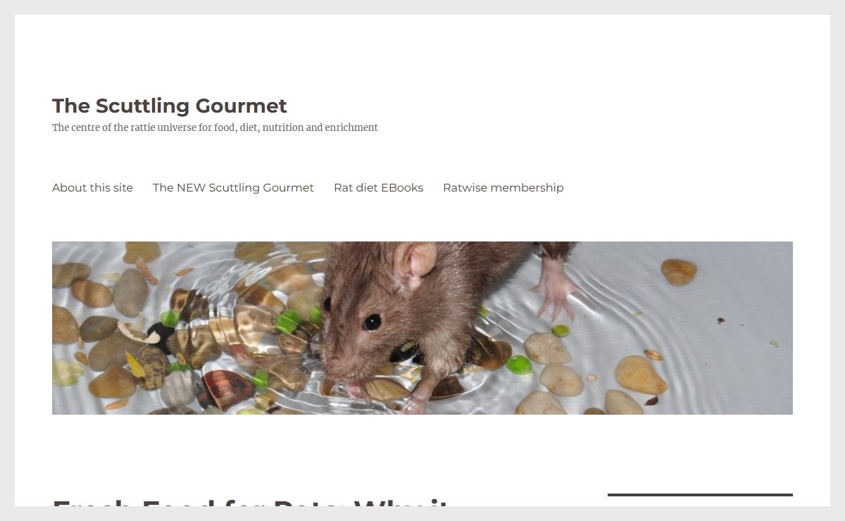 The Scuttling Gourmet - The centre of the rattie universe for food, diet, nutrition and enrichment