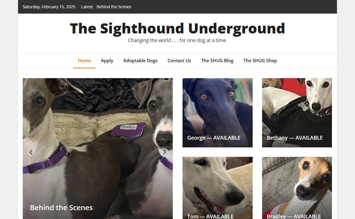 The Sighthound Underground – Changing the world . . . for one dog at a time.