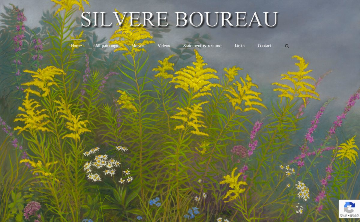 Home - Silvère Boureau