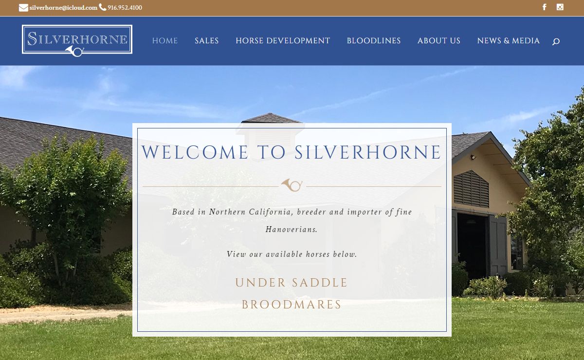 Silverhorne Sporthorse | Hanoverian Sporthorses for Sale | Horse Development & Peer Training for Professionals & Amateurs