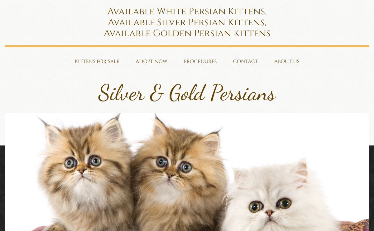 Welcome | Silver & Gold Persians
