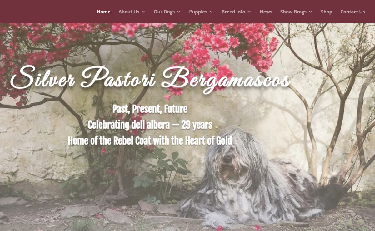 Home - Silverpastori Bergamascos Website