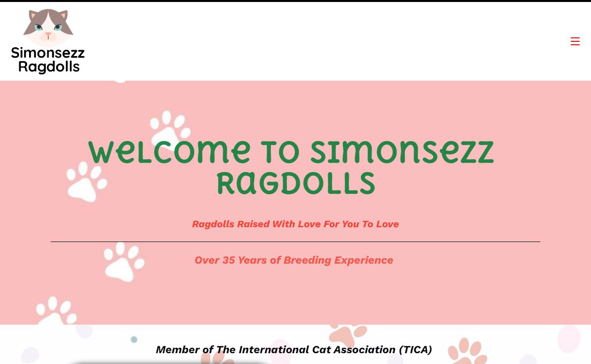 Ragdoll Breeder | Florida - Simonsezz Ragdolls