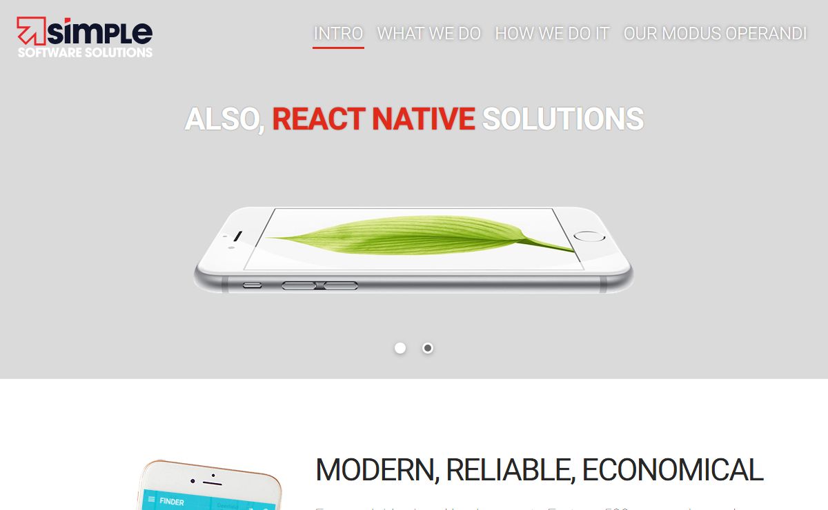 Simple Software Solutions, React and React Native software development